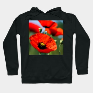 Close Up in a Field of Red Poppies (MD23Mrl009) Hoodie